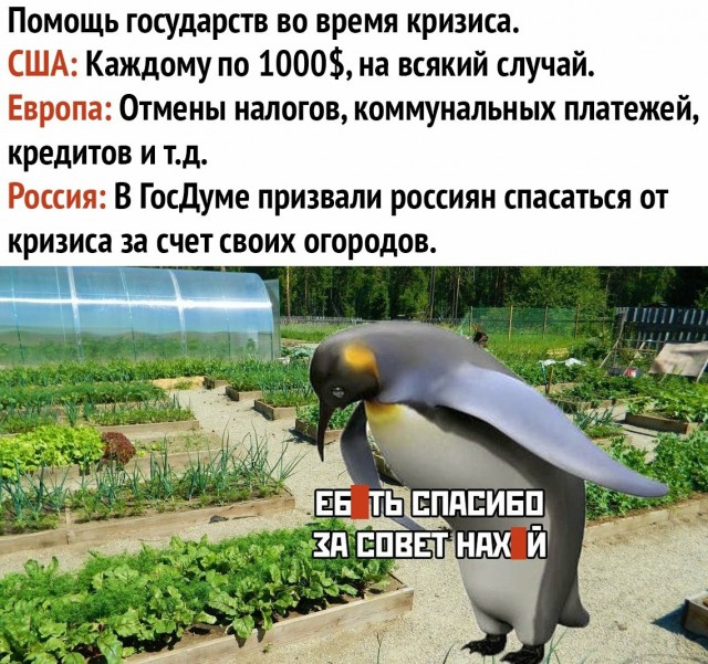 Американцы, скорее всего, получат чеки на 1000 (или более) долларов. Вот что вам нужно знать