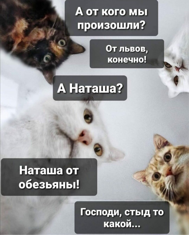 Немного картинок для настроения 18.07.20