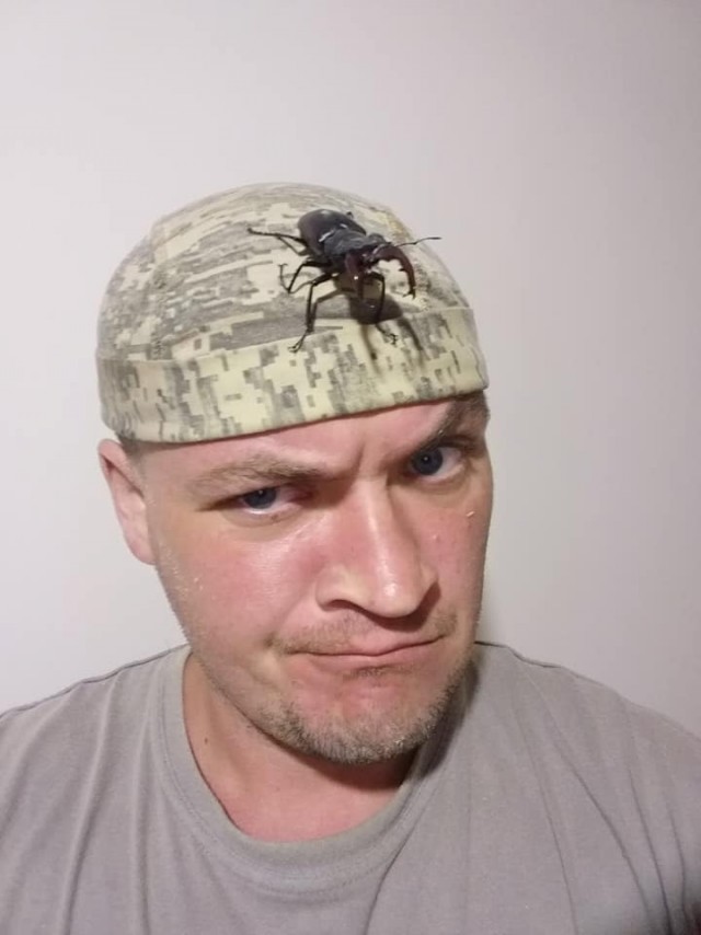 SASHAAIST. Возрождение