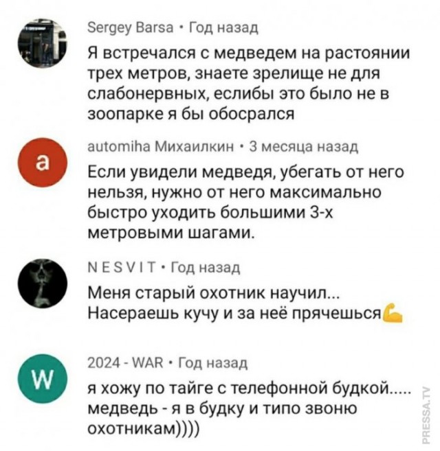 Что делать, если вы встретили медведя