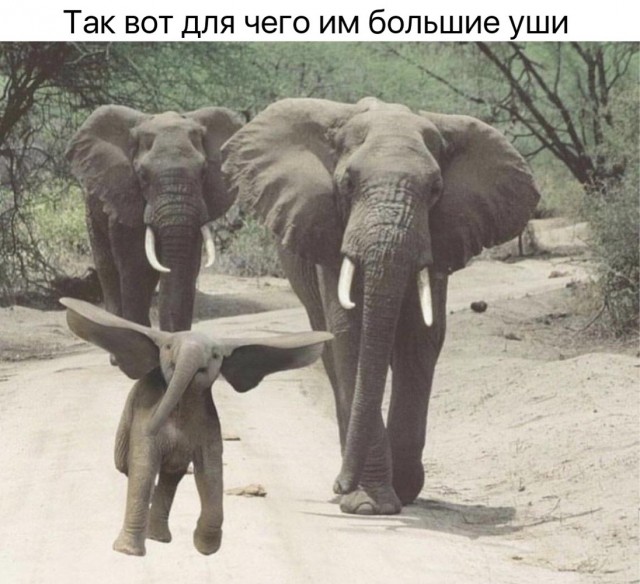 Просто добрые картинки. Всем хорошего дня!