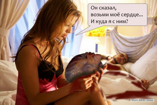 А пока Тимати спит - мы жабим