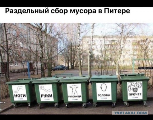 Бредзона 23.10.2020