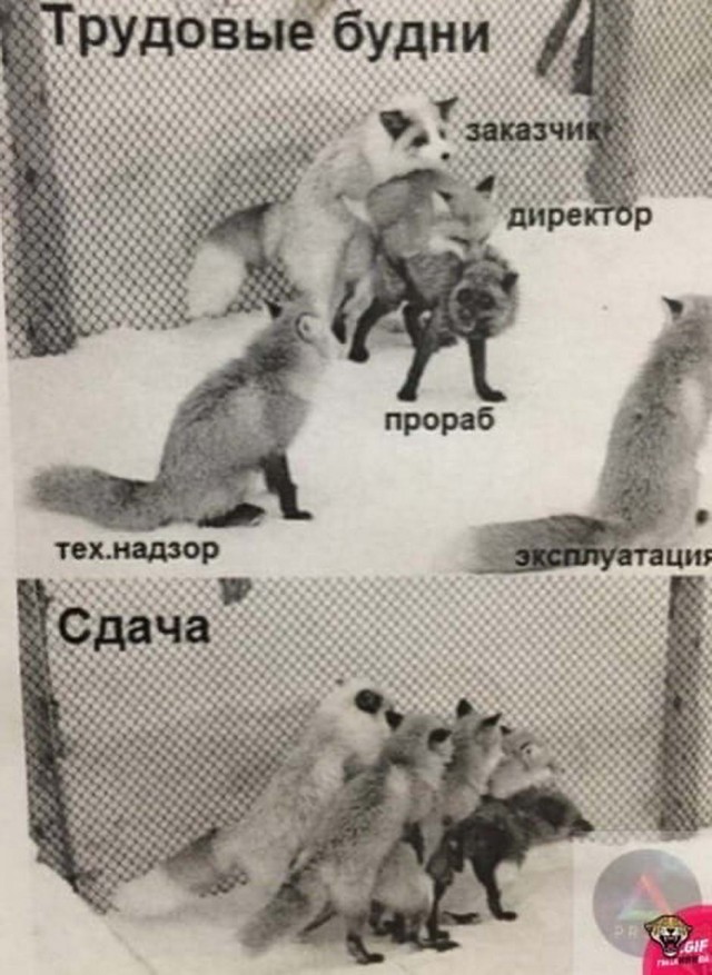 Бредзона 15.11.20