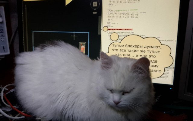 Фотографии, которые доказывают, что кошки самые большие сволочи