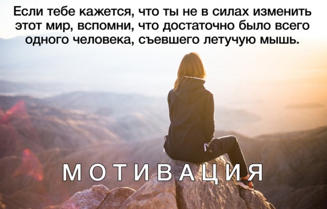 Картинки и мемы для настроения 025