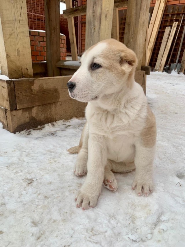В семье пополнение