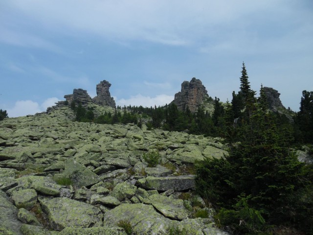 Каменные реки-курумы