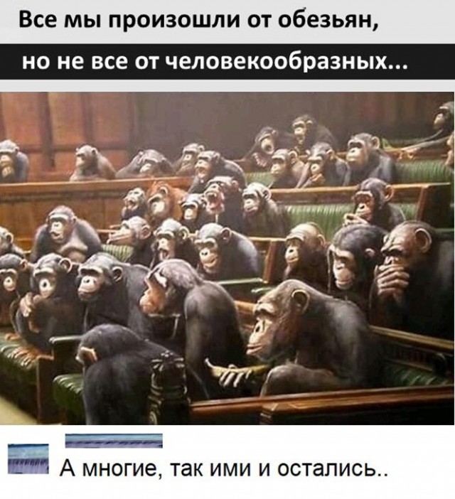 Баянисто-небаянистый юмор 15.06.21