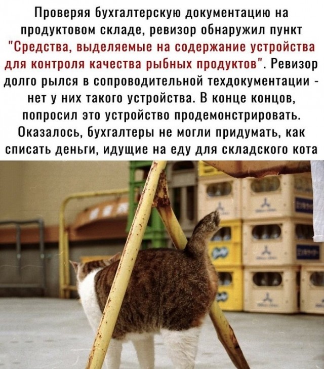Картинки с надписями и всякие жизненные фразы 16.06.21
