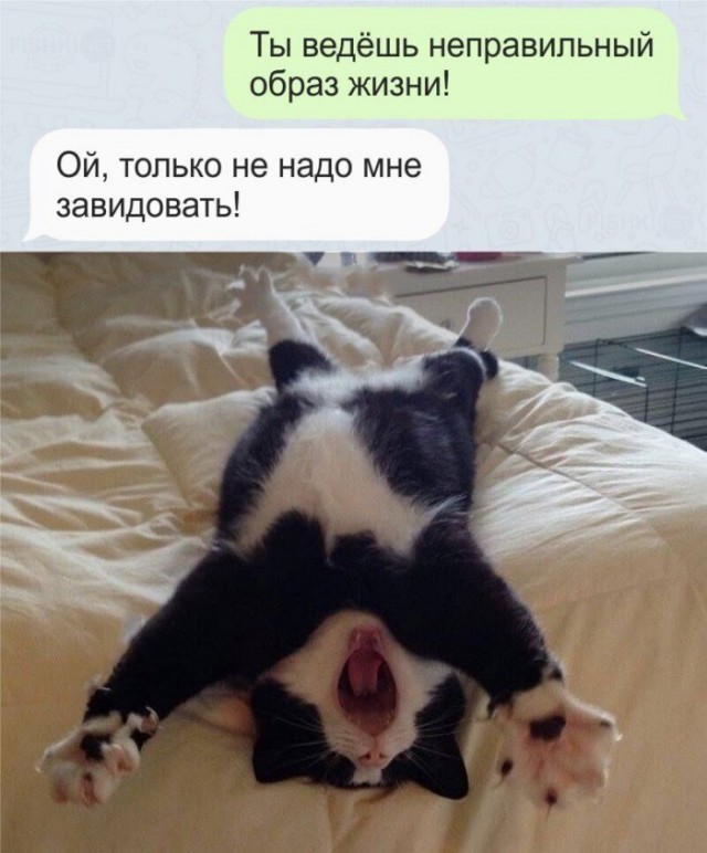 Куда же все так пристально смотрят? Тема сильной зависти.