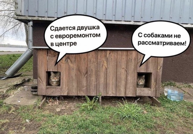 Просто картинки для настроения