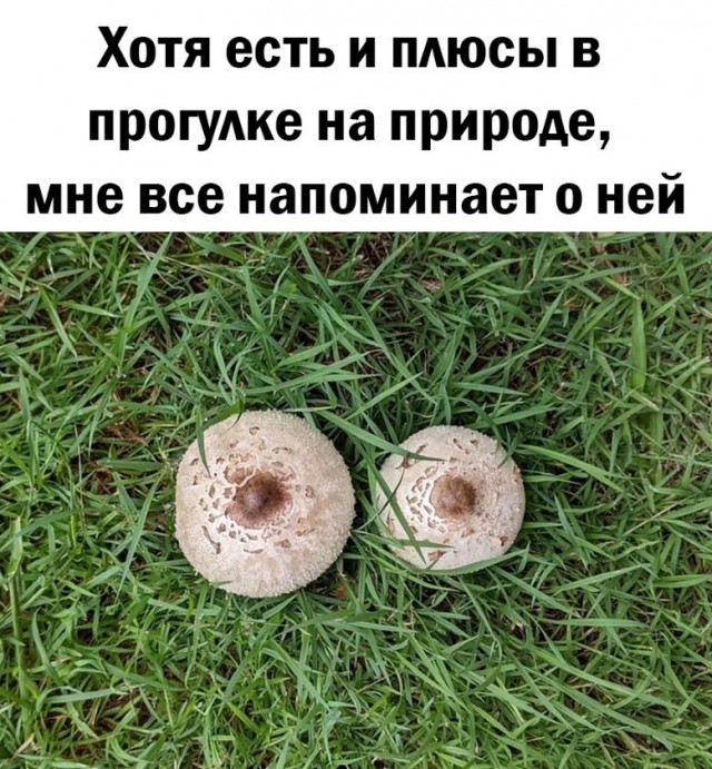 Так себе картинки 05.03.22