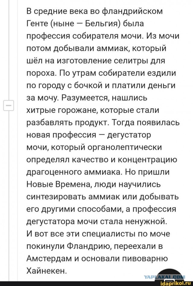 Heineken останавливает производство и продажу пива под брендом Heineken в России
