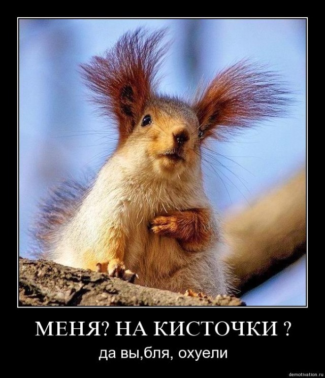 Это у Вас кошкины вторники и собачкины четверги, а ко мне белочка пришла