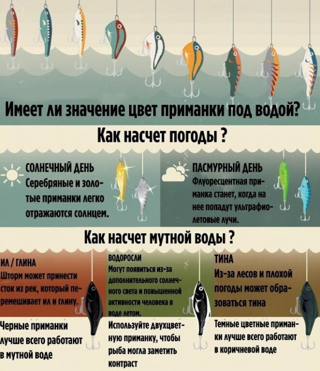 19 важных, нужных и познавательных шпаргалок, которые могут пригодиться в жизни
