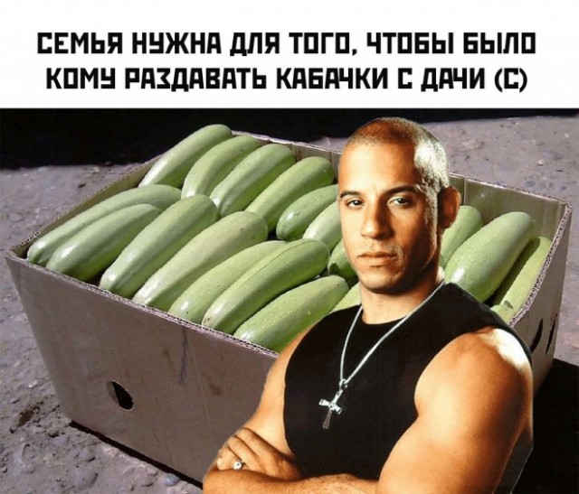 Картинки и мемы для настроения. Выходные близко...