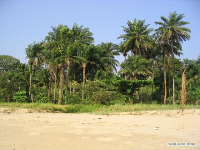 Путешествие в Сьерра-Леоне