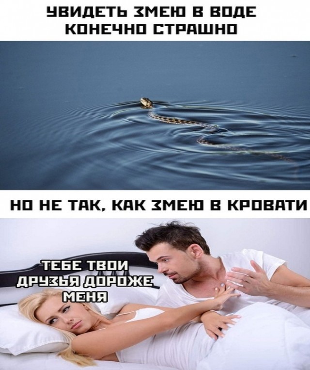 Картинки и мемы для настроения - 11