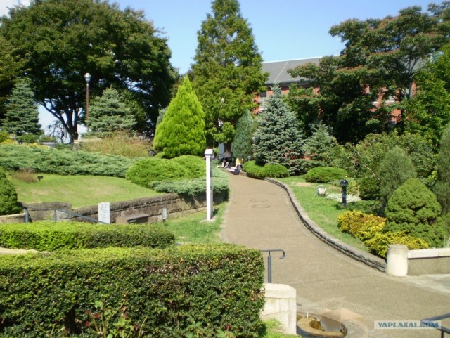 Далёкая Япония