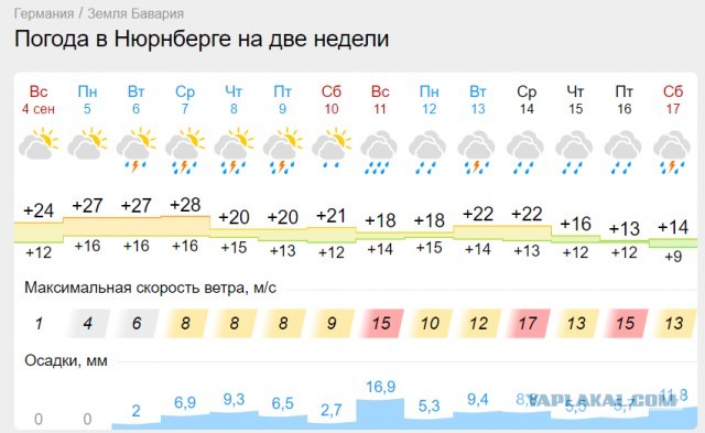 Антиправительственный митинг в немецком Кёльне.