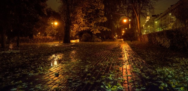 Воронеж - город контрастов