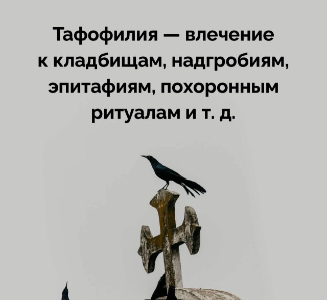 Факты. Просто факты.