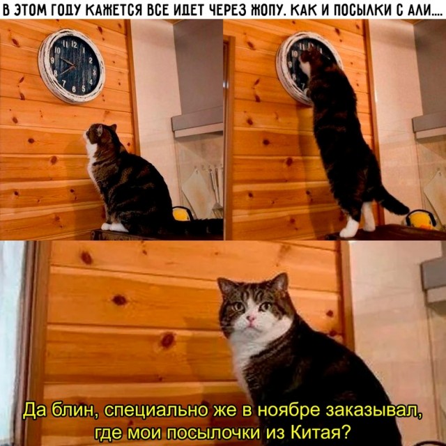 Немного картинок для настроения - 137