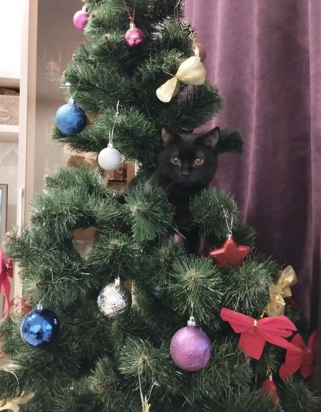 Новогодняя игрушка