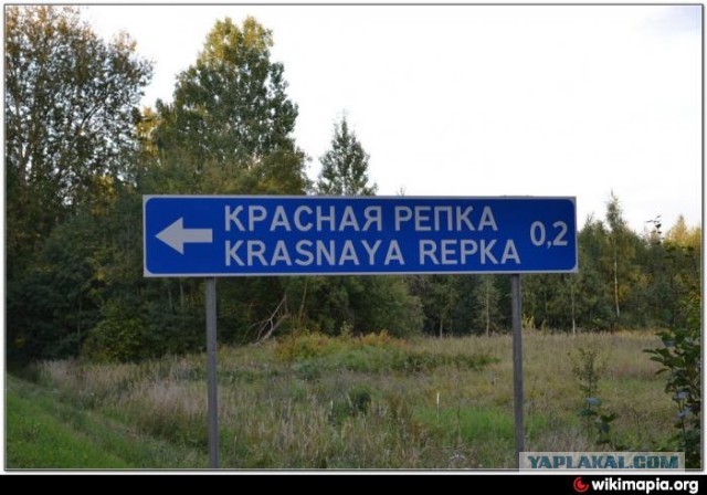 Меркантильные женщины