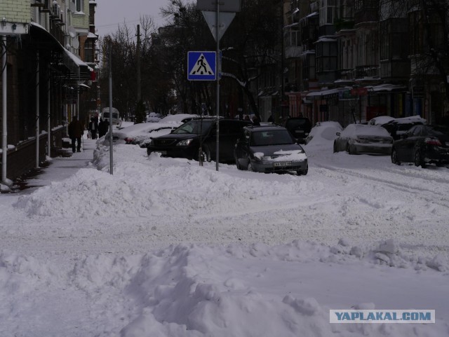 23 марта. Киев. Весна.