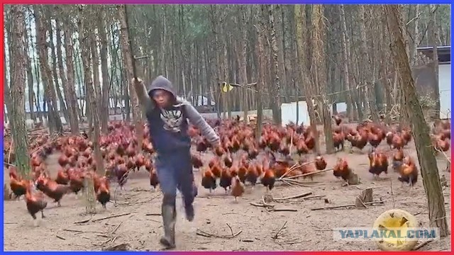Мужчины, делающие куннилингус, счастливее других. И вот почему!
