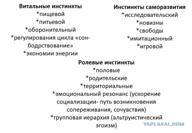 Отношение женщин к роли мужчины в семье