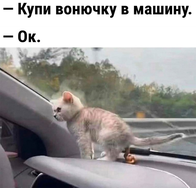 Так себе картинки 06.05.23