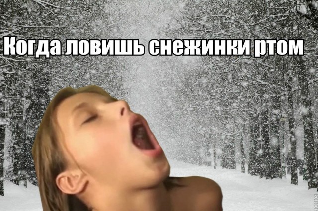 Сотка отборных баянов картиночной направленности