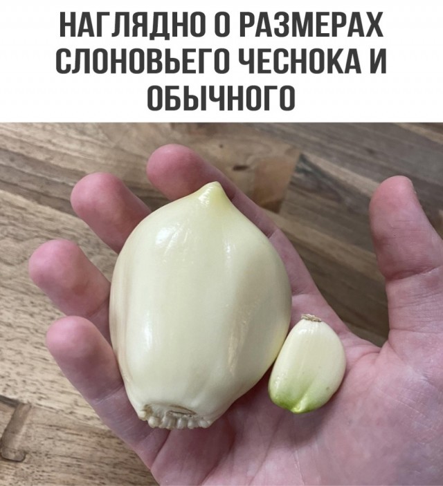 Всяко-разно