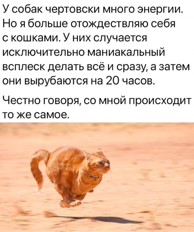 Так себе картинки 15.12.23