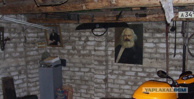 Фото с погибшего бука