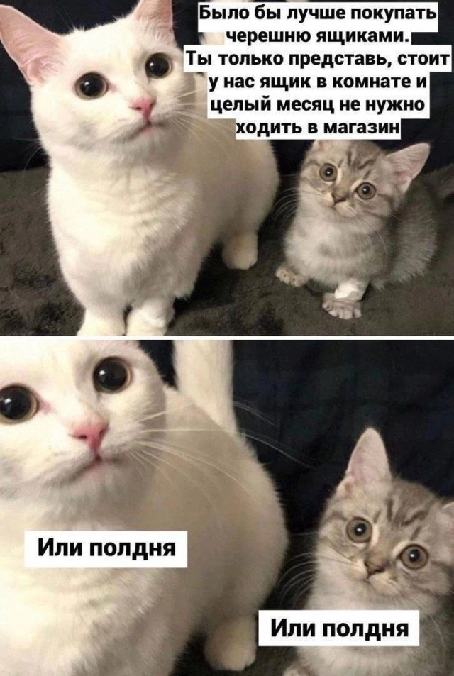 Так себе картинки 03.05.24
