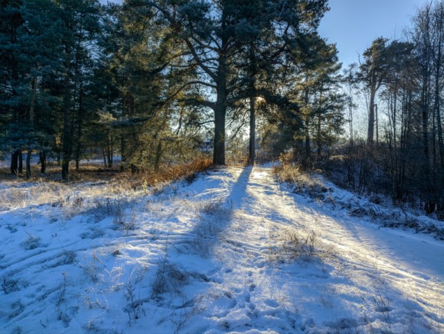 Фоточку сделал сейчас
