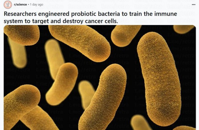 Учёные приблизились к победе над раком: разработана вакцина для иммунной системы