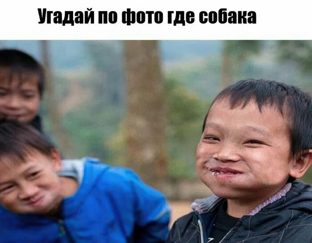 Пятачок, стреляй!