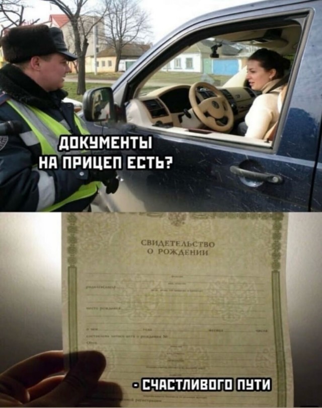 Так себе картинки 26.11.24