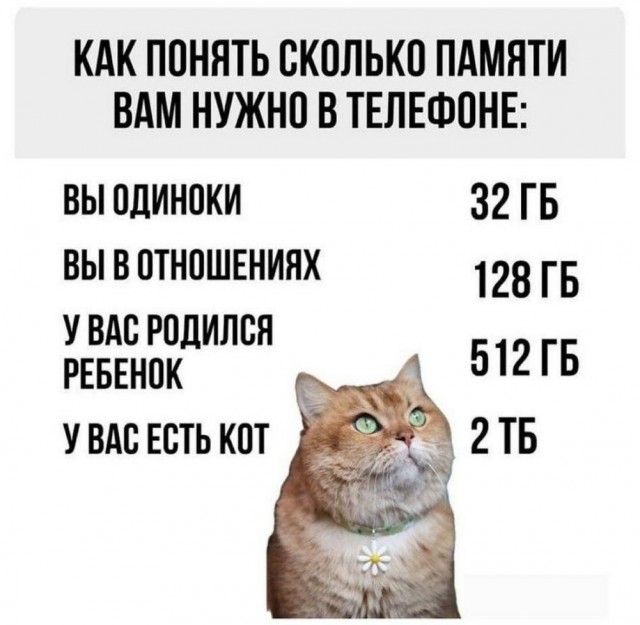 Веселые картинки к пятнице