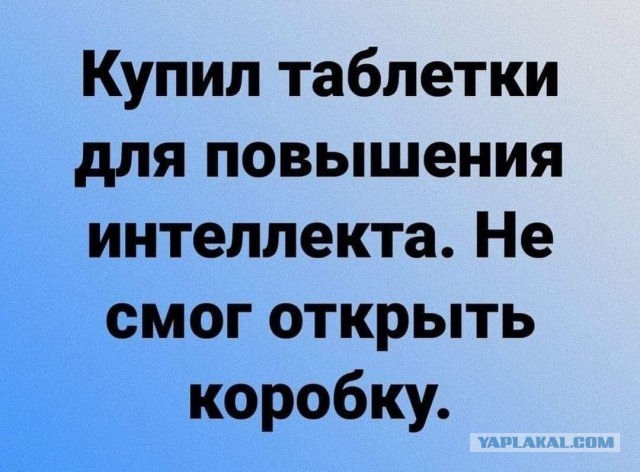 Весёлый полтишок 31.12.24
