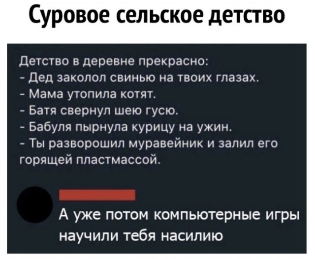 Весёлый полтишок 03.01.25