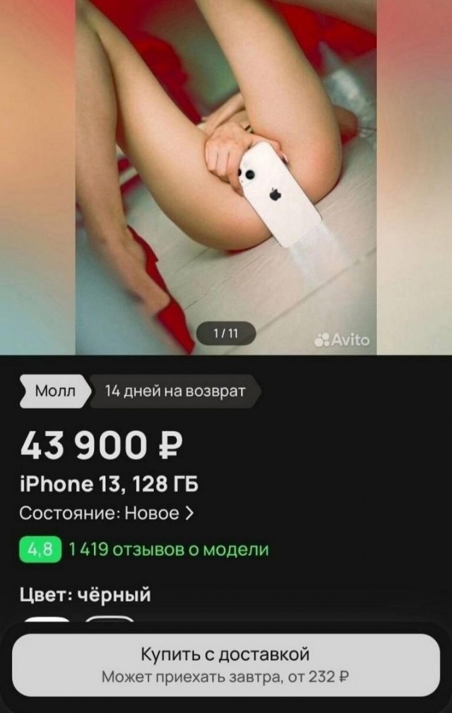 Веселые картинки в пятницу (04.04)
