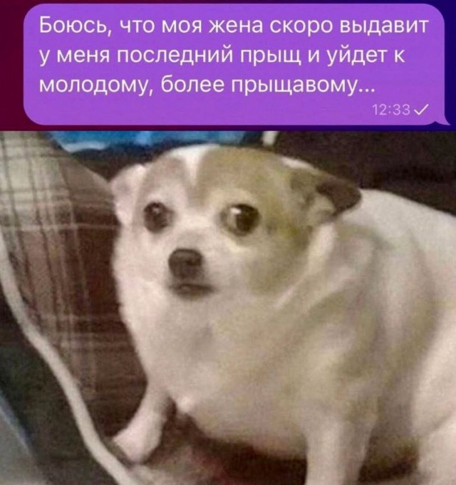 Весёлый полтишок 16.04 25.