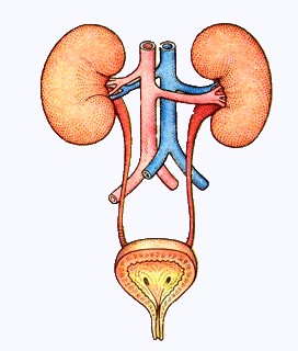 Картинки разные