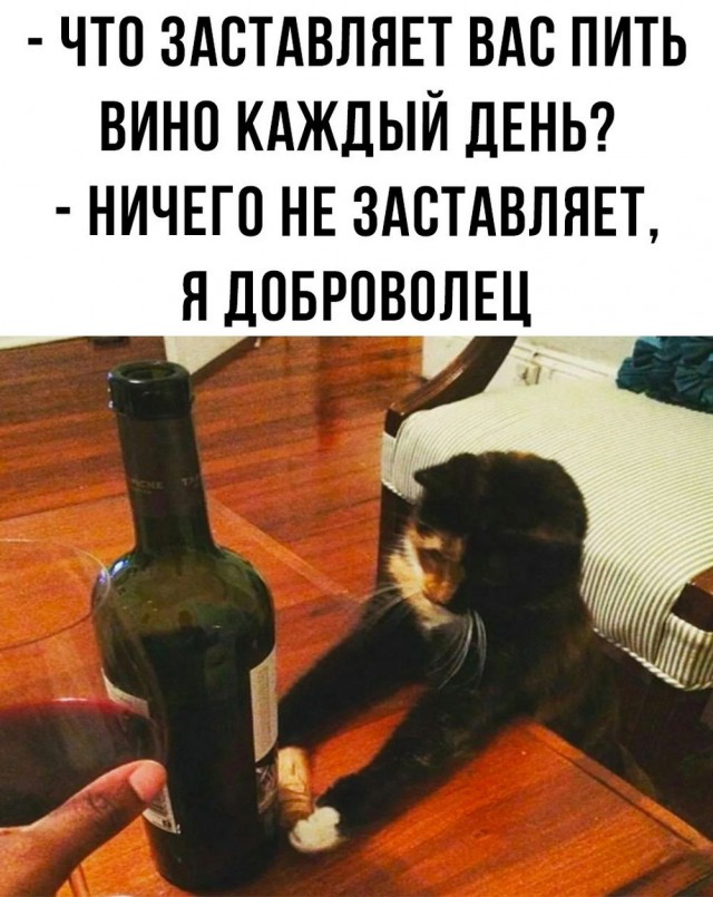 Жипеги и не совсем